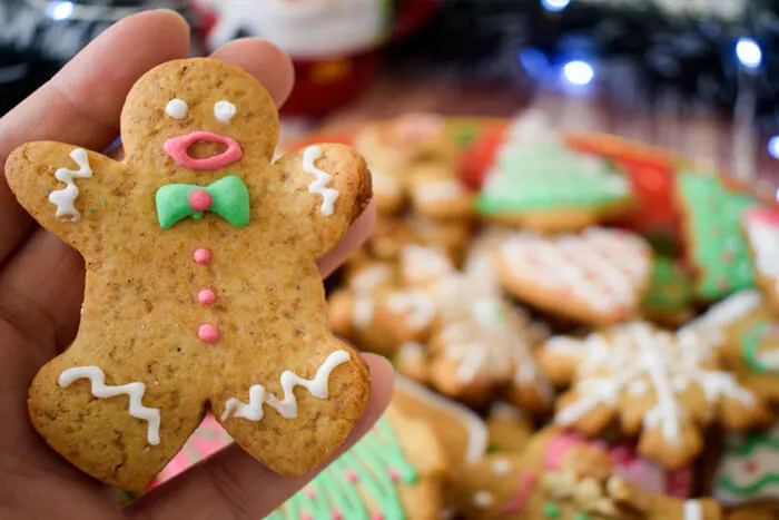 novogodisnji medenjaci